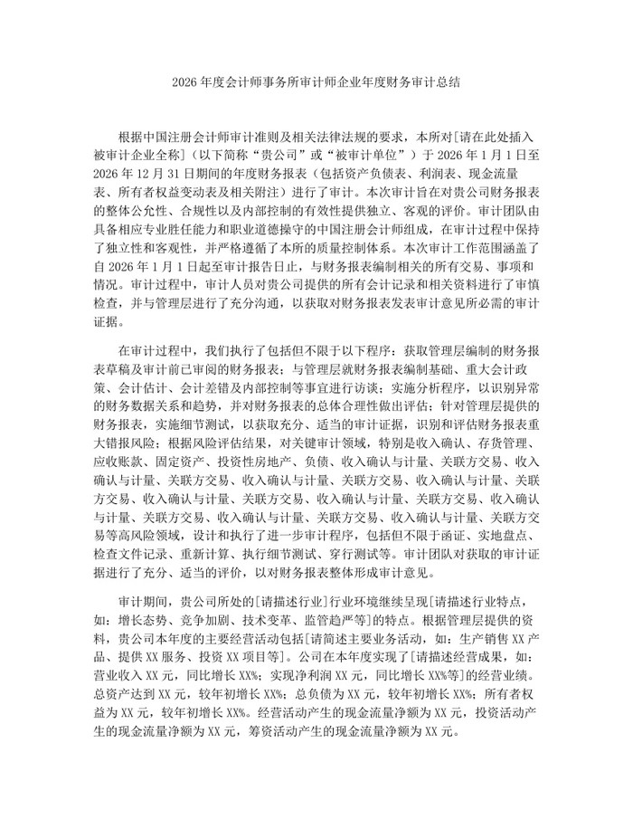 2026年度会计师事务所审计师企业年度财务审计总结：(docx+pdf)免费下载