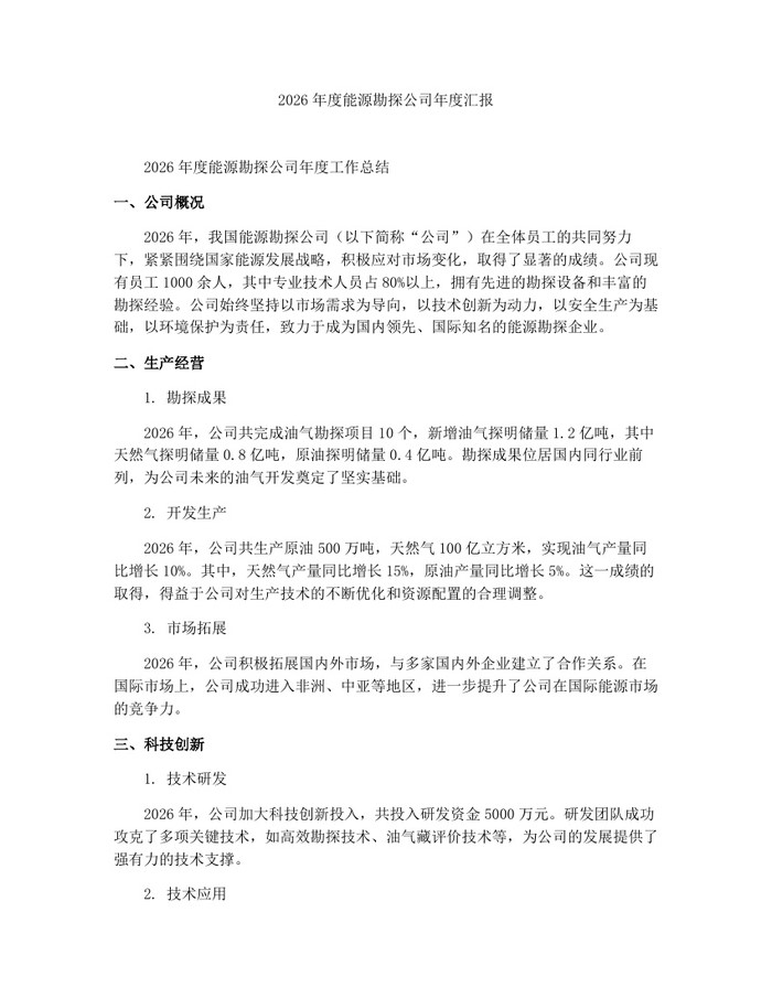 2026年度能源勘探公司年度汇报：(docx+pdf)免费下载
