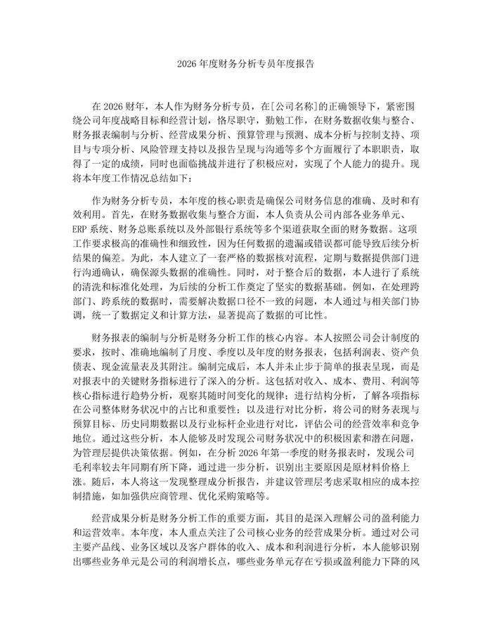 2026年度财务分析专员年度报告：(docx+pdf)免费下载