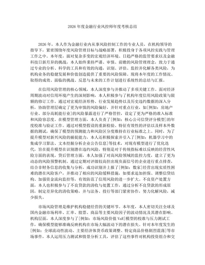 2026年度金融行业风控师年度考核总结：(docx+pdf)免费下载