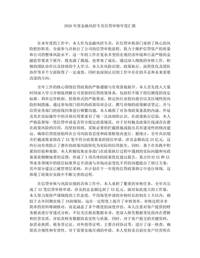 2026年度金融风控专员信贷审核年度汇报：(docx+pdf)免费下载