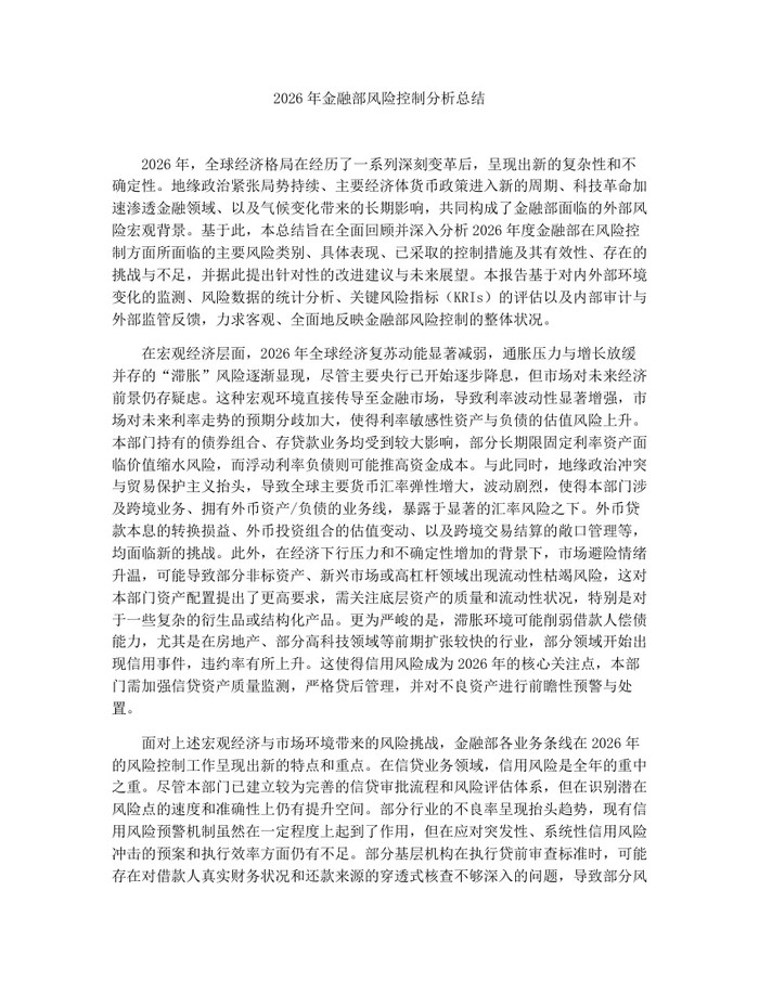 2026年金融部风险控制分析总结：(docx+pdf)免费下载