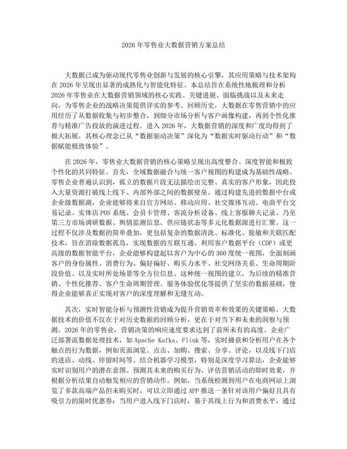 2026年零售业大数据营销方案总结：(docx+pdf)免费下载